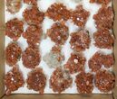 Lot: to Twinned Aragonite Clusters - Pieces #134140-1